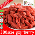 Hot Sale Dried Goji Berry fruit